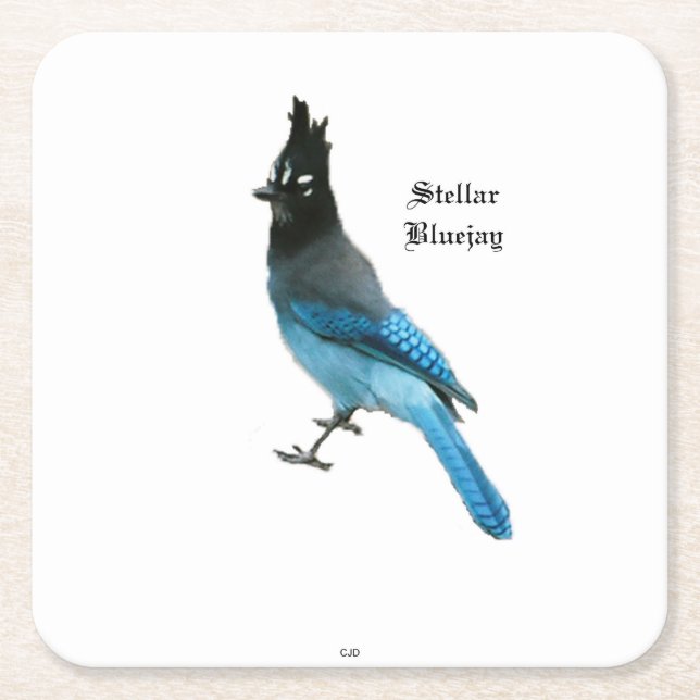 Stellar Blue Jay papper underlägg Kvadrat (Framsidan)