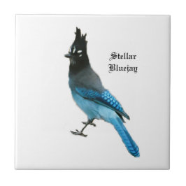 Stellar Blue Jay tile Kakelplatta