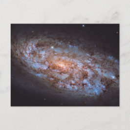 Stellar Forge Vykort