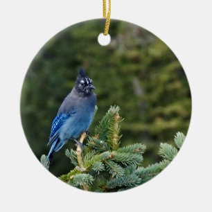 "Stellar Jay" Julgransprydnad Keramik