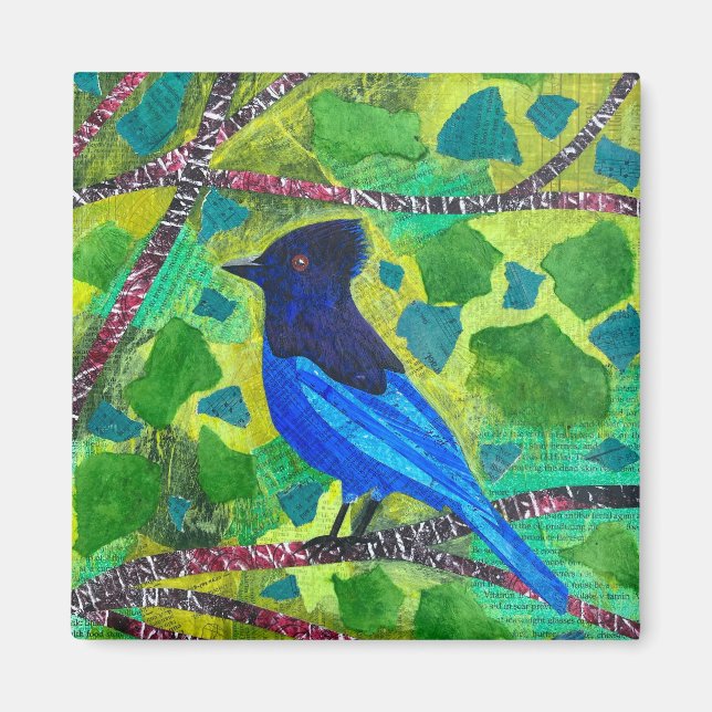 Stellar Jay Magnet (Framsidan)