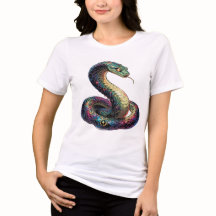 Stellar Path – Journey Through the Universe´2