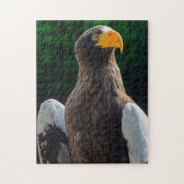 Stellar Sea Eagle Jigszle puzzle Pussel (Vertikal)