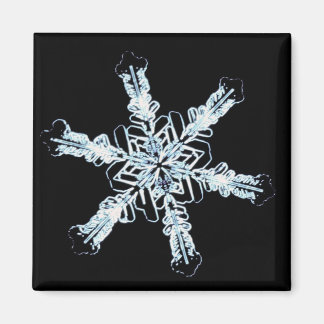 Stellar snö kristaller magnet