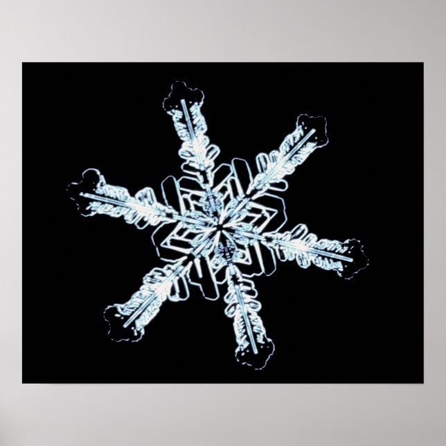 Stellar snö kristaller poster (Framsidan)