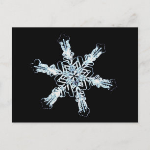 Stellar snö kristaller vykort