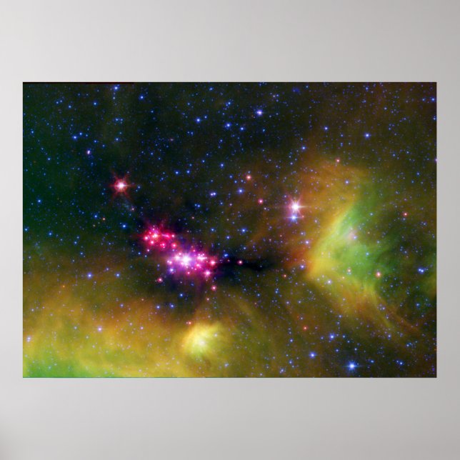 Stellar Spädbarn Poster (Framsidan)