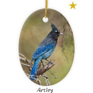 Stellars Jay Bird Painting Anpassningsbar jul Julgransprydnad Keramik