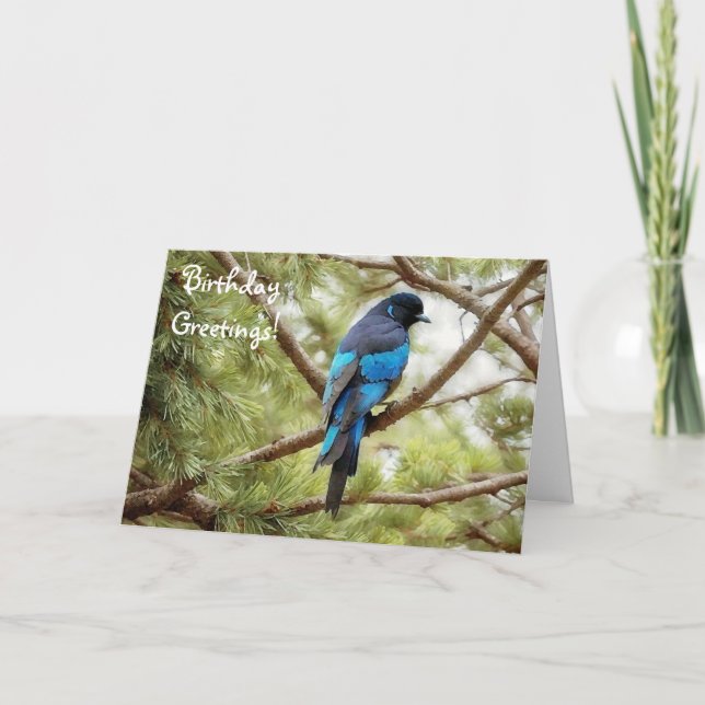 Stellars Jay Blue Birthday Card Bird Älskare Kort (Framsida)