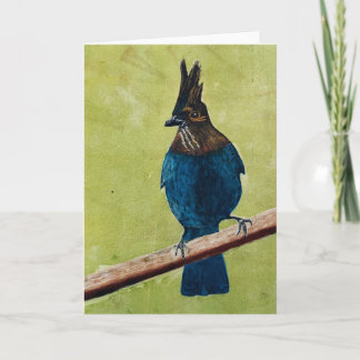 Stellar's Jay NOTKORT Anteckningskort
