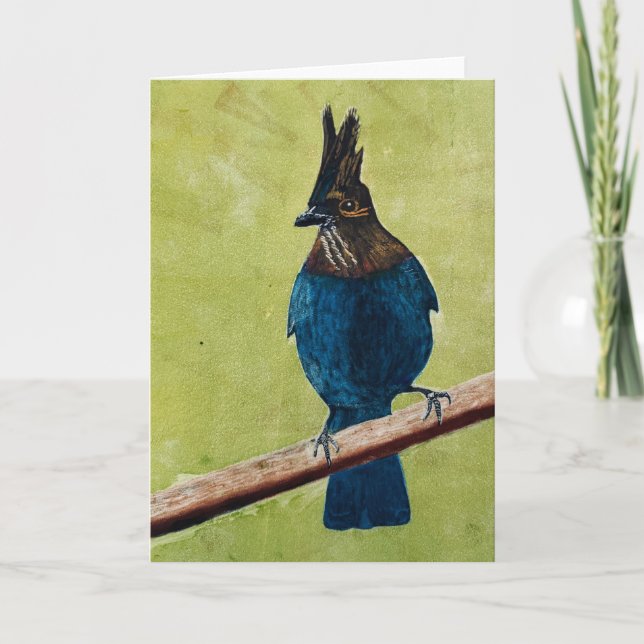 Stellar's Jay NOTKORT Anteckningskort (Framsida)