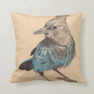 Stellars Jay teckning på tonat papper Kudde