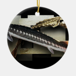 Stellate Collage för stör 3D Julgransprydnad Keramik