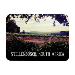 Stellenbosch, södra Afrikan Magnet