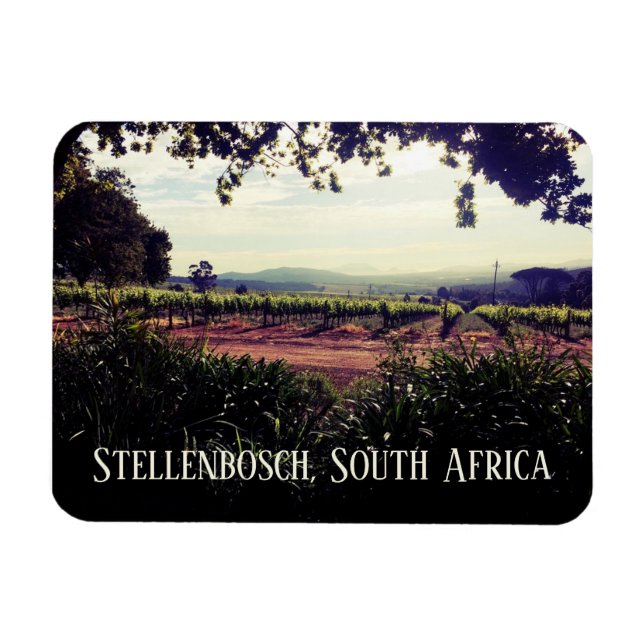 Stellenbosch, södra Afrikan Magnet (Horisontell)