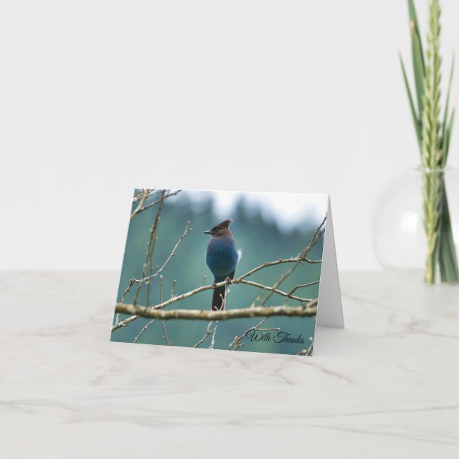 Steller Jay Tackkort (Framsida)