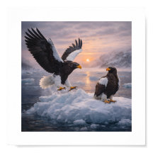 Stellers havsörn (Haliaeetus pelagicus) –