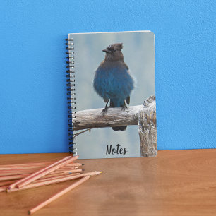 Steller's Jay Bird Photo Anteckningsbok