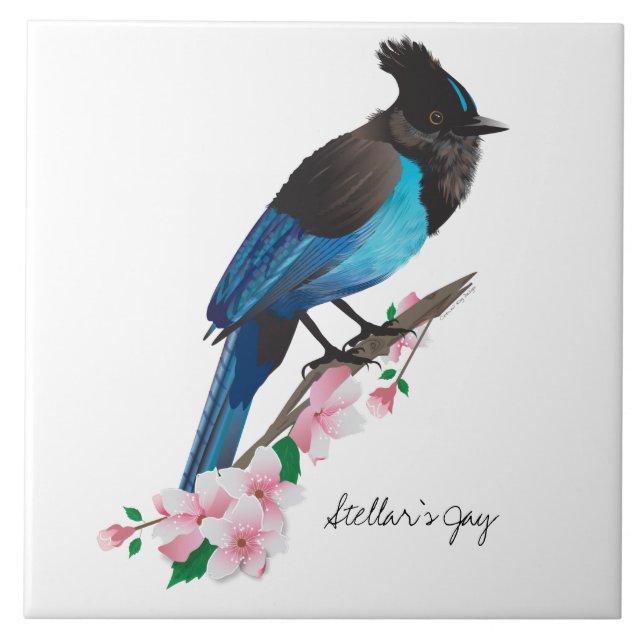 Steller's Jay Ceramic Tile Kakelplatta (Framsidan)
