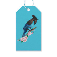 Steller's Jay Gift Märkre