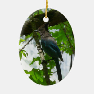 Stellers Jay i Yosemite National Park Julgransprydnad Keramik