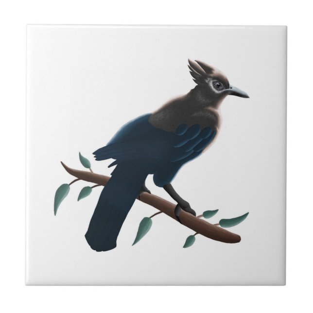 Steller's Jay  Kakelplatta (Framsidan)