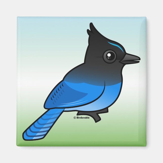 Stellers Jay Magnet (Framsidan)