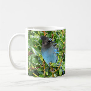 Steller's Jay Mugg av BirdingCollectibles