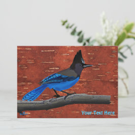 Stellers Jay On Inner Birch Bark