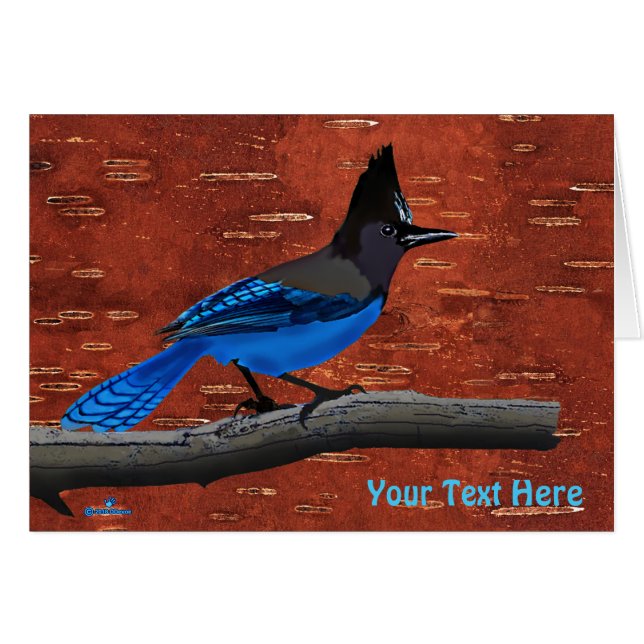 Stellers Jay On Inner Birch Bark Hälsningskort (Framsidan Horizontal)
