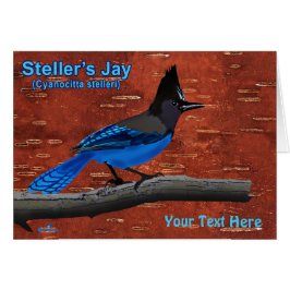 Stellers Jay On Inner Birch Bark Hälsningskort