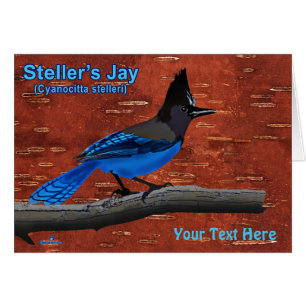 Stellers Jay On Inner Birch Bark Hälsningskort
