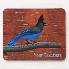 Stellers Jay On Inner Birch Bark Musmatta