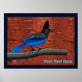 Stellers Jay On Inner Birch Bark Poster