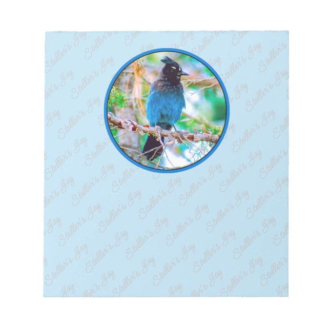 Steller's Jay - Originalfoto Anteckningsblock (Framsida)