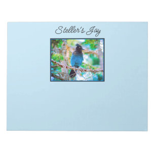 Steller's Jay - Originalfoto Anteckningsblock