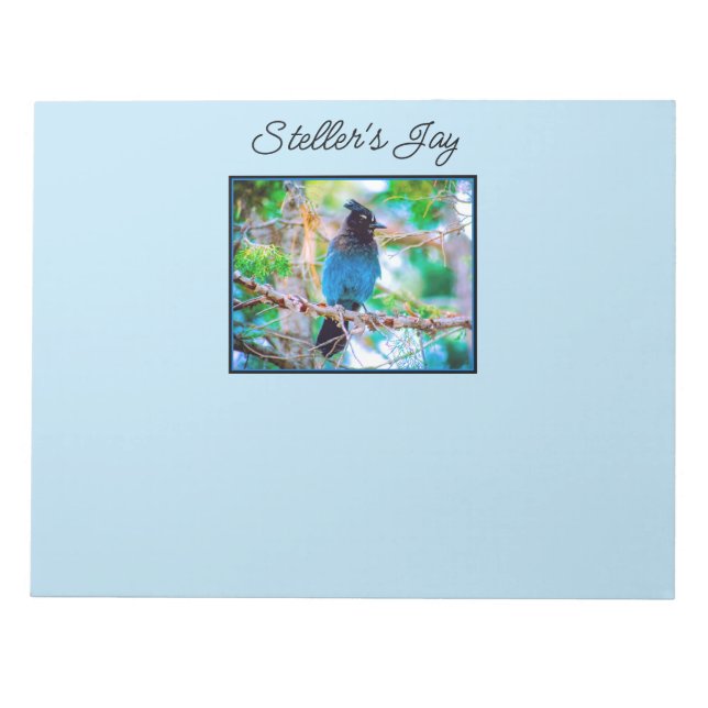 Steller's Jay - Originalfoto Anteckningsblock (Framsida)