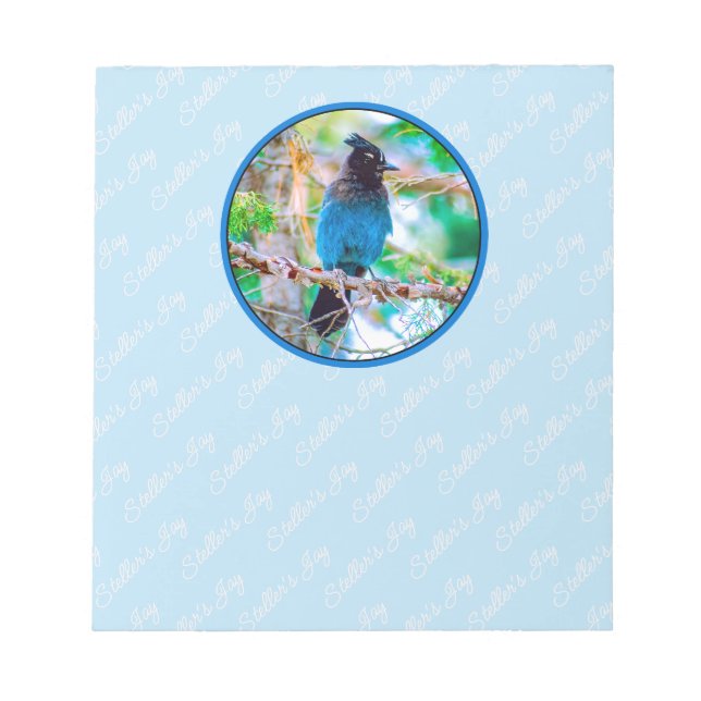 Steller's Jay - Originalfoto Anteckningsblock (Framsida)