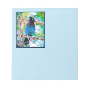 Steller's Jay - Originalfoto Anteckningsblock