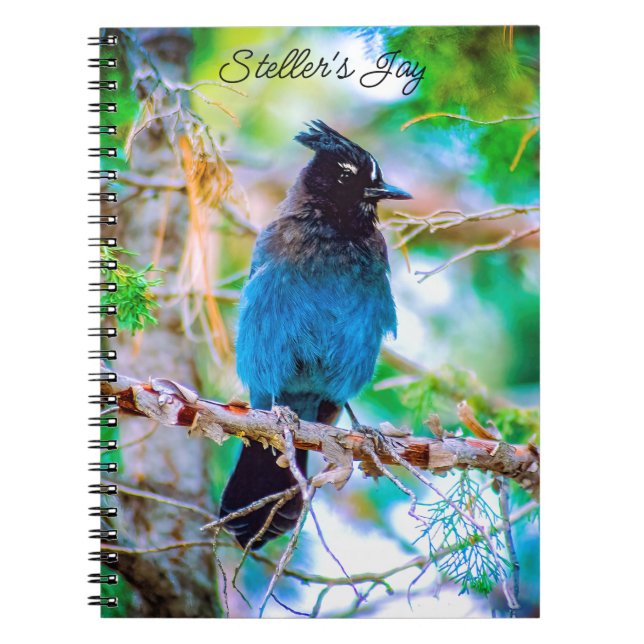 Steller's Jay - Originalfoto Anteckningsbok (Framsidan)