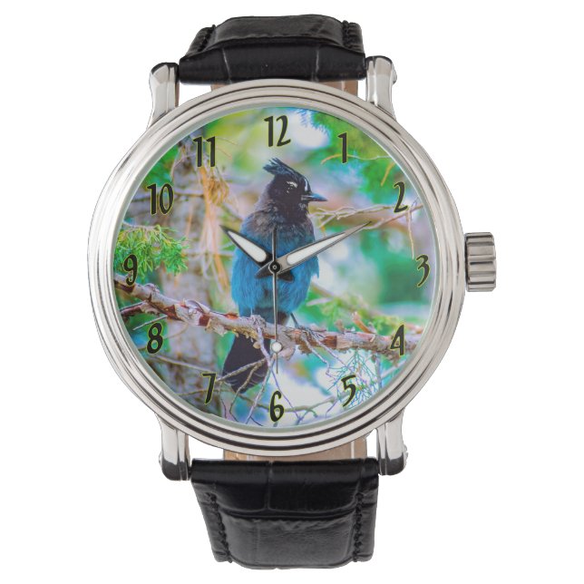 Steller's Jay - Originalfoto Armbandsur (Framsida)