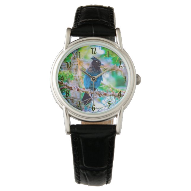 Steller's Jay - Originalfoto Armbandsur (Framsida)