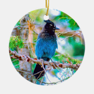 Steller's Jay - Originalfoto Julgransprydnad Keramik