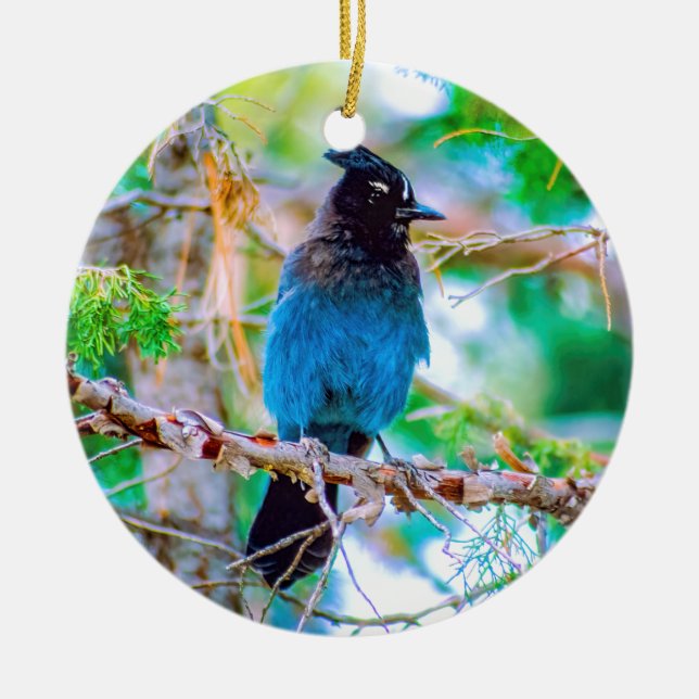 Steller's Jay - Originalfoto Julgransprydnad Keramik (Framsidan)