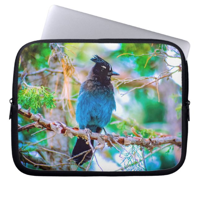 Steller's Jay - Originalfoto Laptop Fodral (Framsidan)