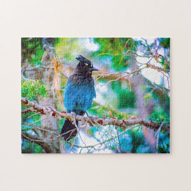Steller's Jay - Originalfoto Pussel (Horisontell)