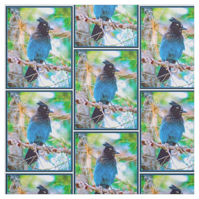 Steller's Jay - Originalfoto Tyg (Provkarta)