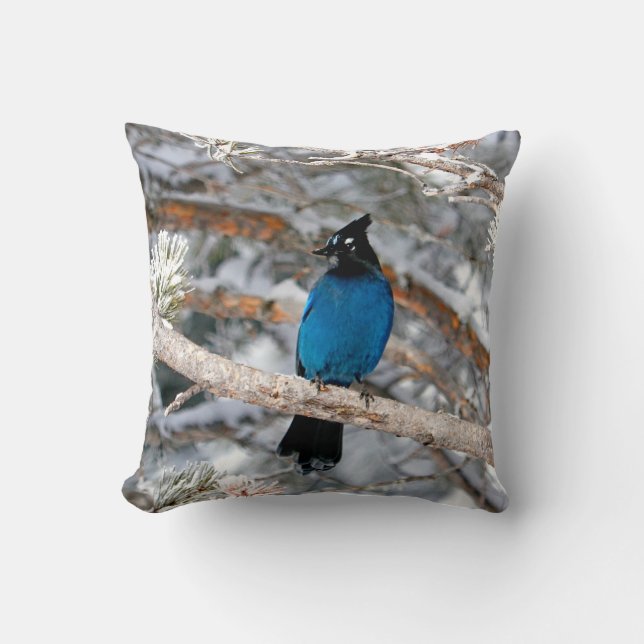 Steller's Jay på en vinterdag Kudde (Framsida)