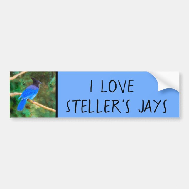 Stellers Jay Painting - Original Bird Art Bildekal (Framsidan)