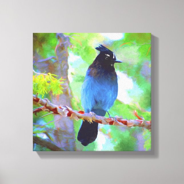 Stellers Jay Painting - Original Bird Art Canvastryck (Framsida)